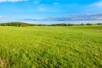 Rolgordijnen Green field of grass in spring, landscape © alicja neumiler