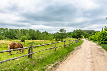Polish rural road and horse farm in the summer, landscape