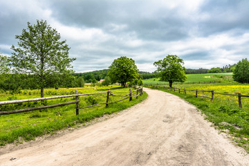 Fototapeta na wymiar Rural road on farm with green field, summer landscape