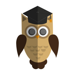 owl cartoon with graduation cap over white background. colorful design. vector illustration