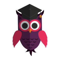 owl cartoon with graduation cap over white background. colorful design. vector illustration