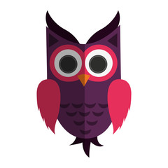 owl cartoon icon over white background. colorful design. vector illustration