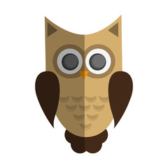 owl cartoon icon over white background. colorful design. vector illustration
