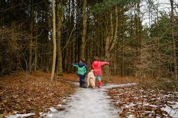 Boy, girl and dog deciding direction to woodland 
