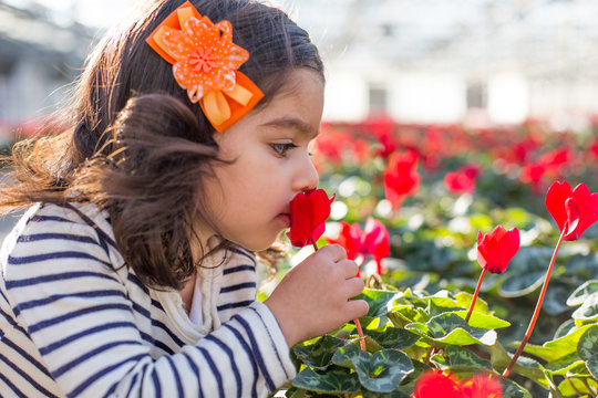 Young girl smelling poppy with orange colour hair decoration 