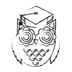 owl cartoon with graduation cap over white background. vector illustration
