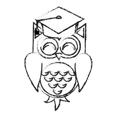 Obraz na płótnie Canvas owl cartoon with graduation cap over white background. vector illustration