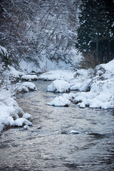 冬と渓流