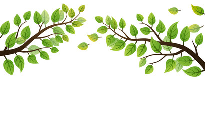 Spring branch with green leaves on white background