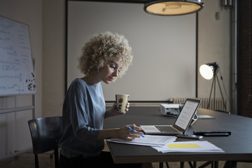Woman working on laptop and documents in office