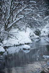 冬と渓流