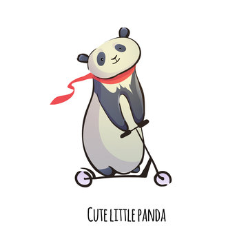 Cute panda bear on the scooter. Hand-drawn sketch.