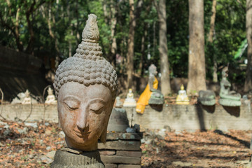 Ancient Head Buddha stone statue