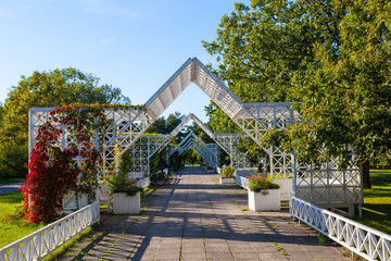 White fence and greenery on blue summer sky. Parnu, Estonia