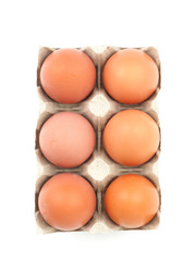 Organic eggs in paperboard egg cartons isolated on white