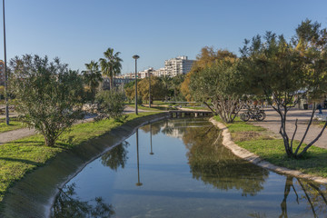 Fototapeta na wymiar Beautiful landscape of Turia River gardens Jardin del Turia, leisure and sport area in Valencia, Spain. With trees, grass and water mirrors