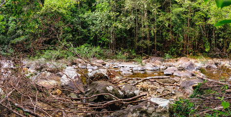 Thai dark tropical forest and rapid mountain river in Mu Koh Chang National Park, Chang island, Thailand. Path to the Khlong Phlu waterfall. Natural background. Soft Focus.