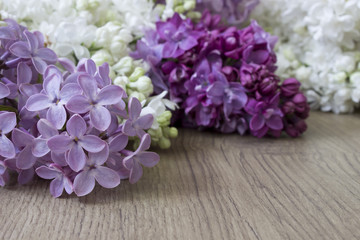 Fototapeta na wymiar lilacs brunches