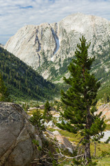 Blue sky and fluffy clouds hang above jagged granite peaks over a deep forested valley in California's high sierra. A single pine tree grows in the meadow