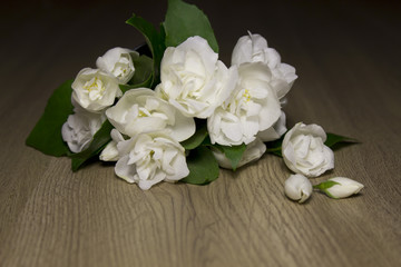 jasmine flowers