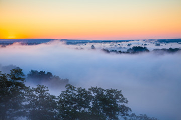 Misty dawn over the Valley and the forest