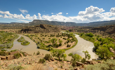 Chama River Gooseneck