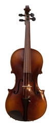 Fototapeta na wymiar European classical violin