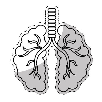 lungs eco friendly related icons image vector illustration design 