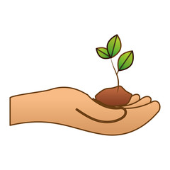 Fototapeta na wymiar hand holding sprout eco friendly related icons image vector illustration design 