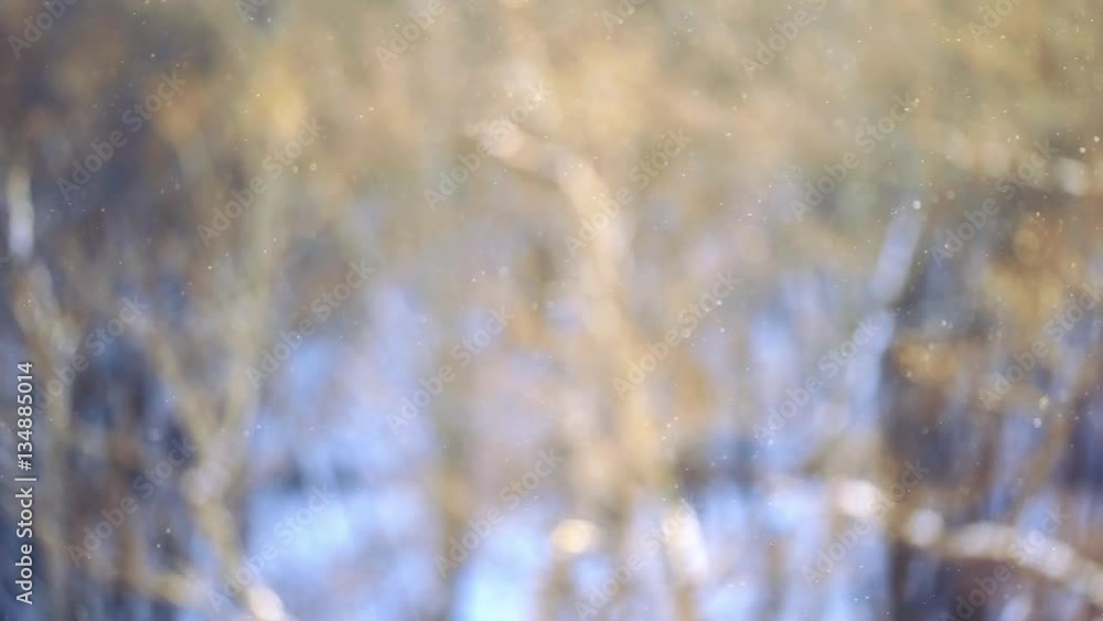 Poster snowfall. snowy stream in the background a blurred background with trees against the sun