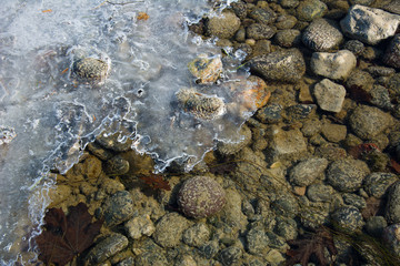 Steine im Fluss mit vereistem Wasser
