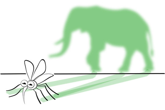 Strichzeichnung Aus einer M&uuml;cke einen Elefanten machen