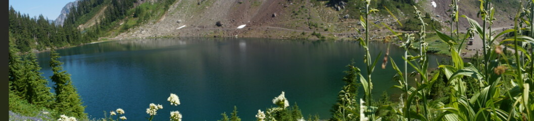 Winchester Lookout near Mt. Baker in Washington State, the Great Pacific Northwest