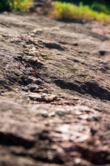 An example of igneous intrusion of pink granite at Inks Lake State Park in Texas.
