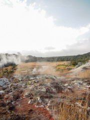 Steam rises from the ground at sulphur flats in Hawaii.
