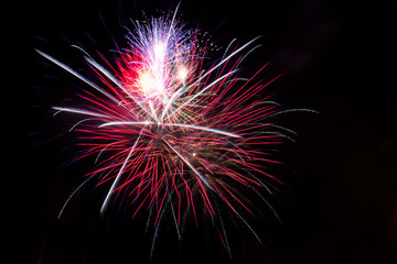 Fototapeta premium Colorful fireworks against black sky