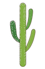Isolated green cactus on a white background, Vector illustration