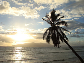 Sunset in Maui