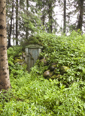 Old shabby door into the cellar. Summer garden after the rain