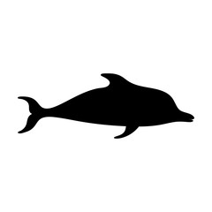 Silhouettes of dolphin, sea animals isolated black and white vector illustration minimal style