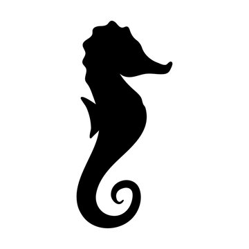 Silhouettes of seahorse, sea animals isolated black and white vector illustration minimal style