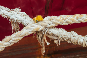 Rope tied to the hull of a boat moored in a harbor