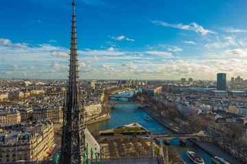 Panorama of the Paris from the top of the tower of Notre Dame, France