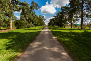 Fototapeta na wymiar Monnington walk track within avenue of trees.