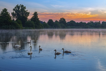 Morgens bei Familie Schwan / Sonnenaufgang über dem Thielenburger See in Dannenberg (Wendland, Niedersachsen).