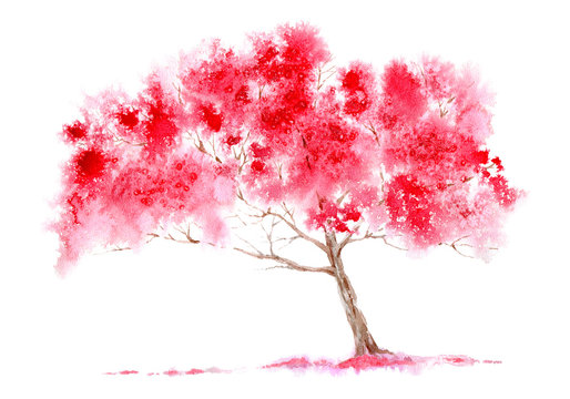 Blossom cherry tree. Spring landscape. Watercolor hand drawn illustration.
