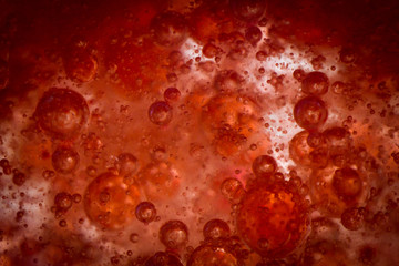 Red Blood Cells