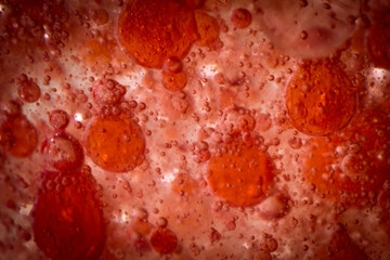 Red Blood Cells