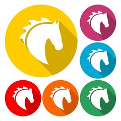 Vector illustration of horse head icon