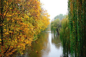 Fototapeta na wymiar Autumn Landscape. Park in Autumn. The bright colors of autumn in